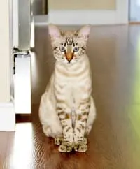 Dave and Beth profile picture