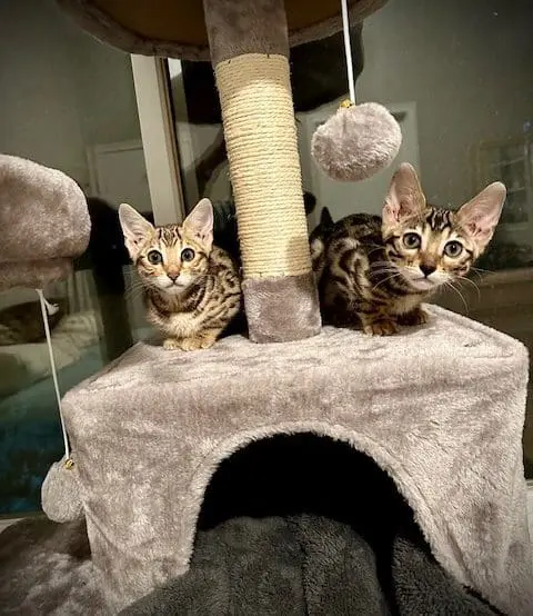 Merina Zeller & Cameron Pelkey