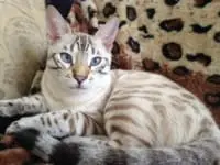 Jeffrey and Yuliya profile picture