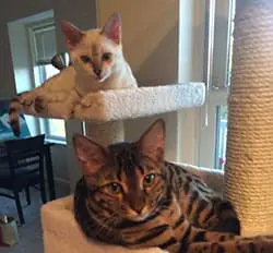 Julie profile picture